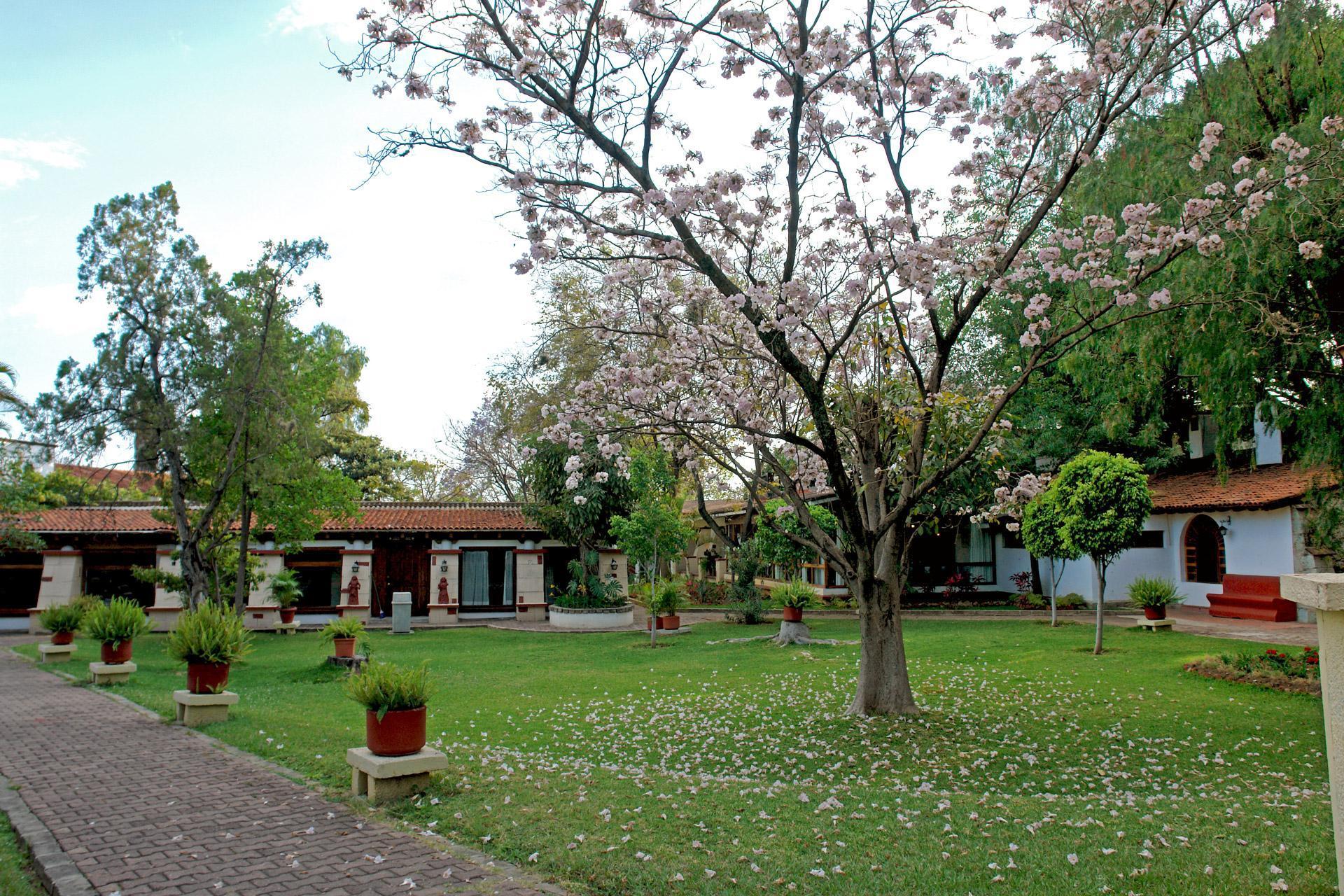 Hotel Mision De Los Angeles Oaxaca Zewnętrze zdjęcie